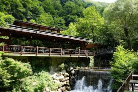 Natur Cafe Sapanca